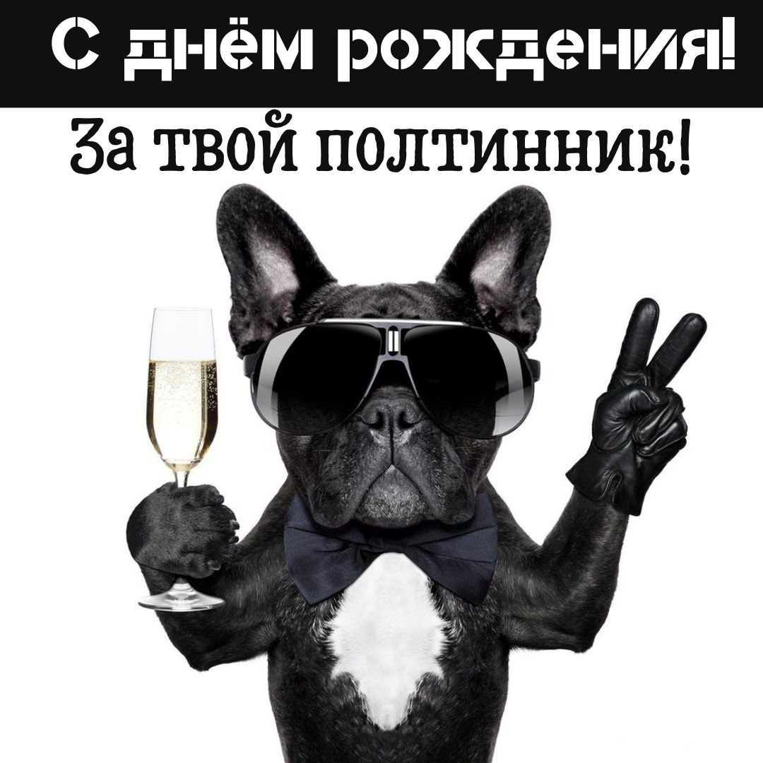 Прикольная открытка с 50 летием мужчине