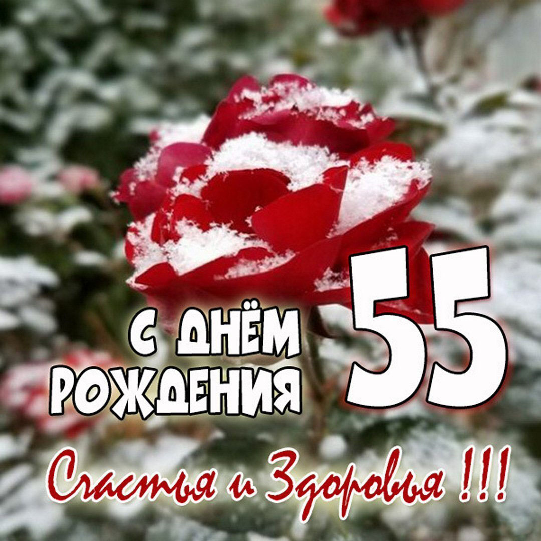 Картинка с поздравлением на 55 лет