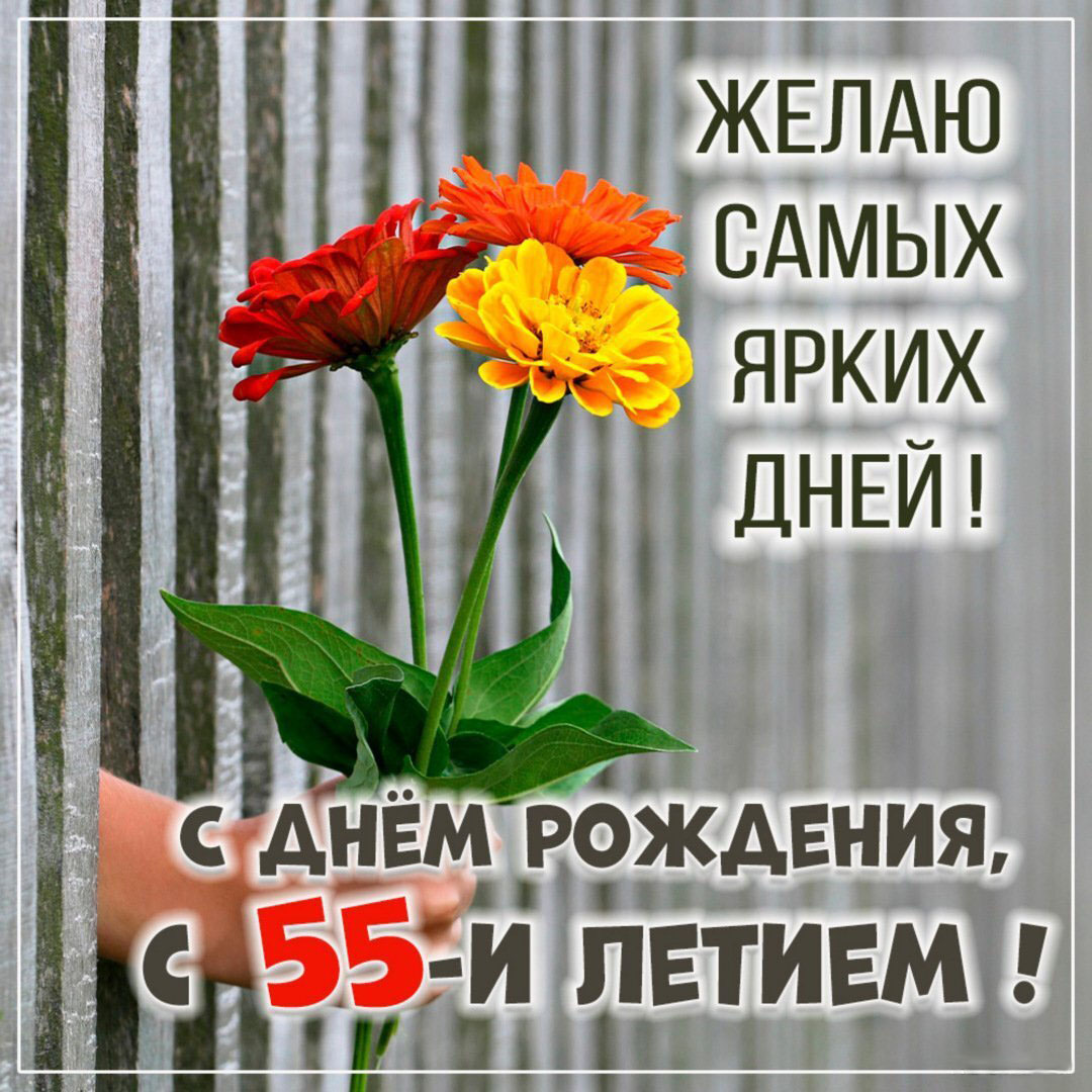 Поздравление с 55 летием в картинке