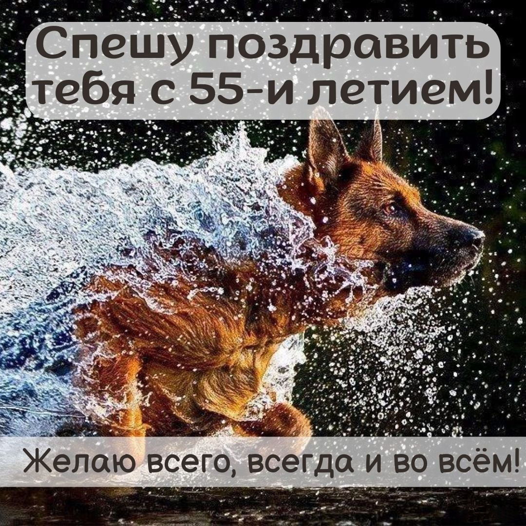 Прикольная открытка на 55 лет
