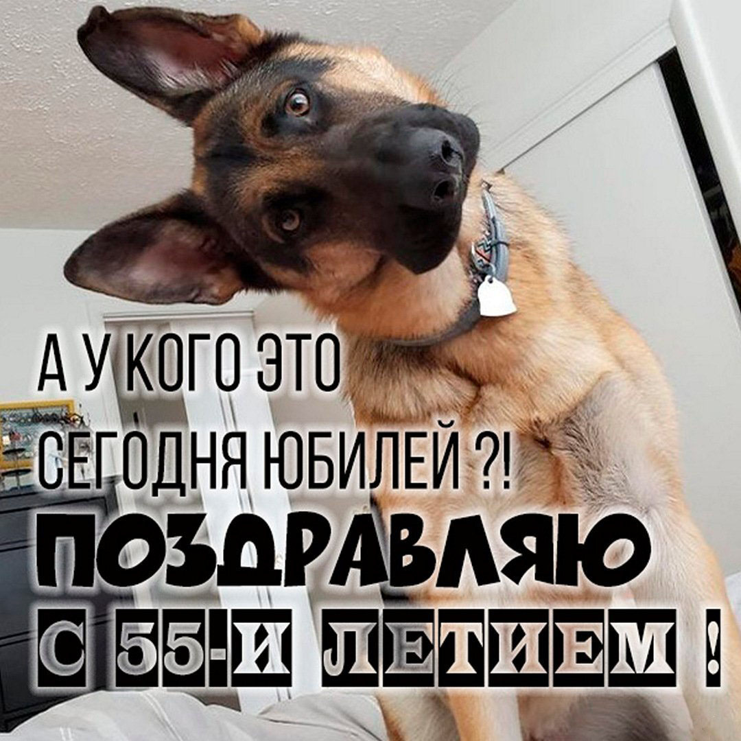 Прикольная открытка с юбилеем женщине на 55 лет