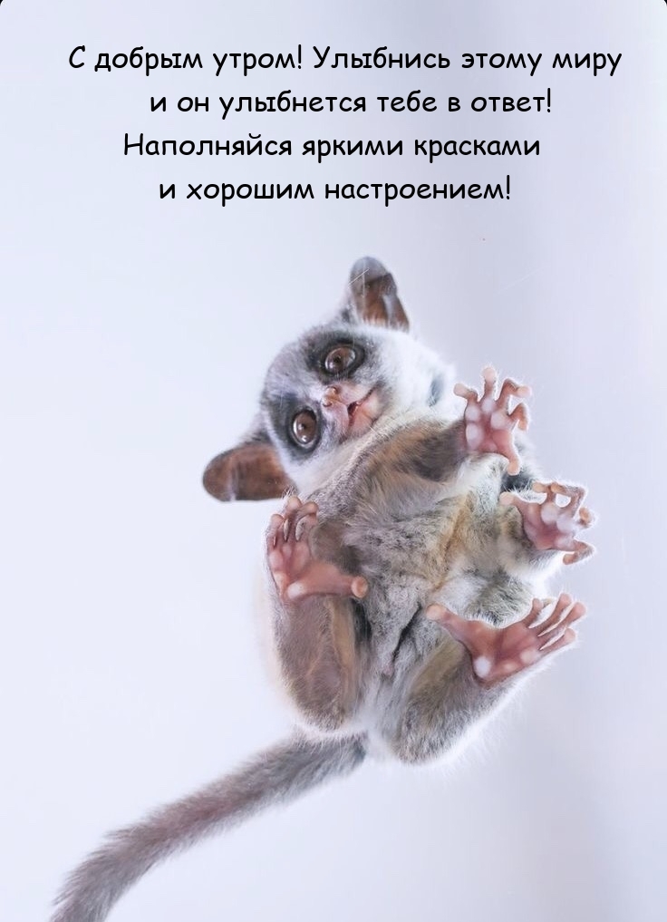 С добрым утром! Улыбнись этому миру и он улыбнется в ответ!