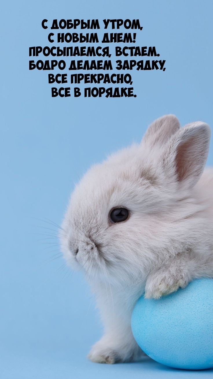 С добрым утром, с новым днем! Просыпаемся, встаем.