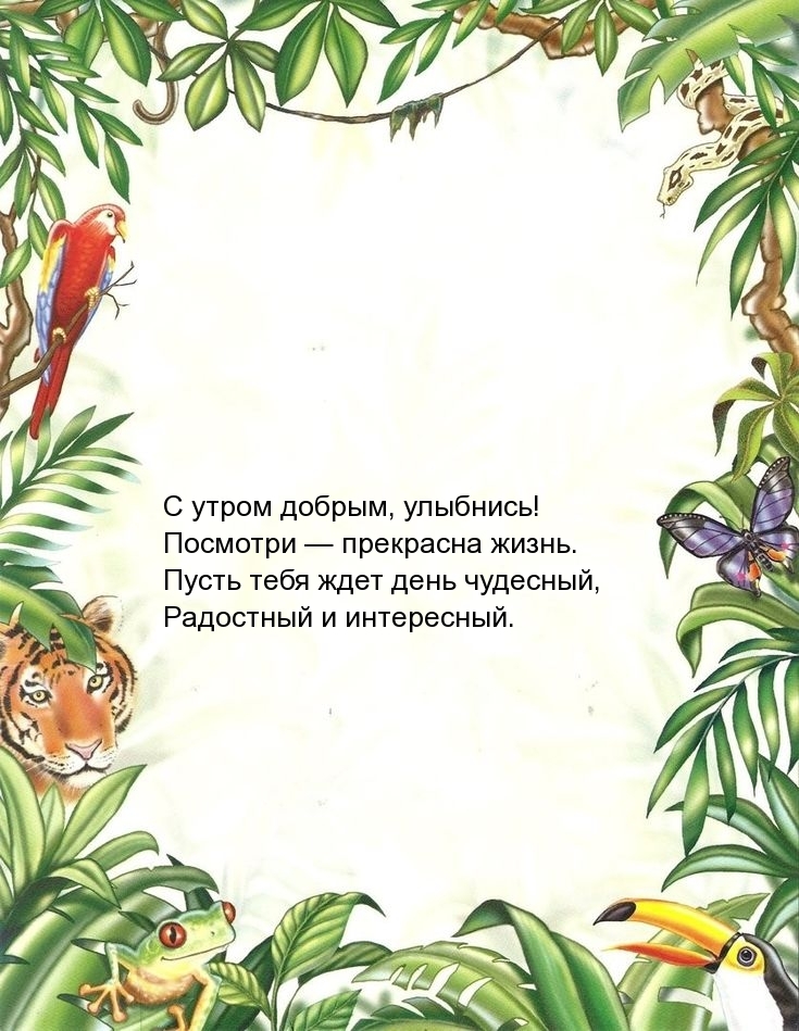 С утром добрым, улыбнись! Посмотри — прекрасна жизнь.