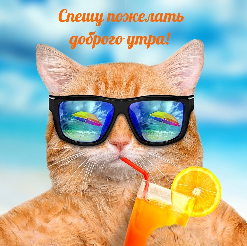Спешу пожелать доброго утра!