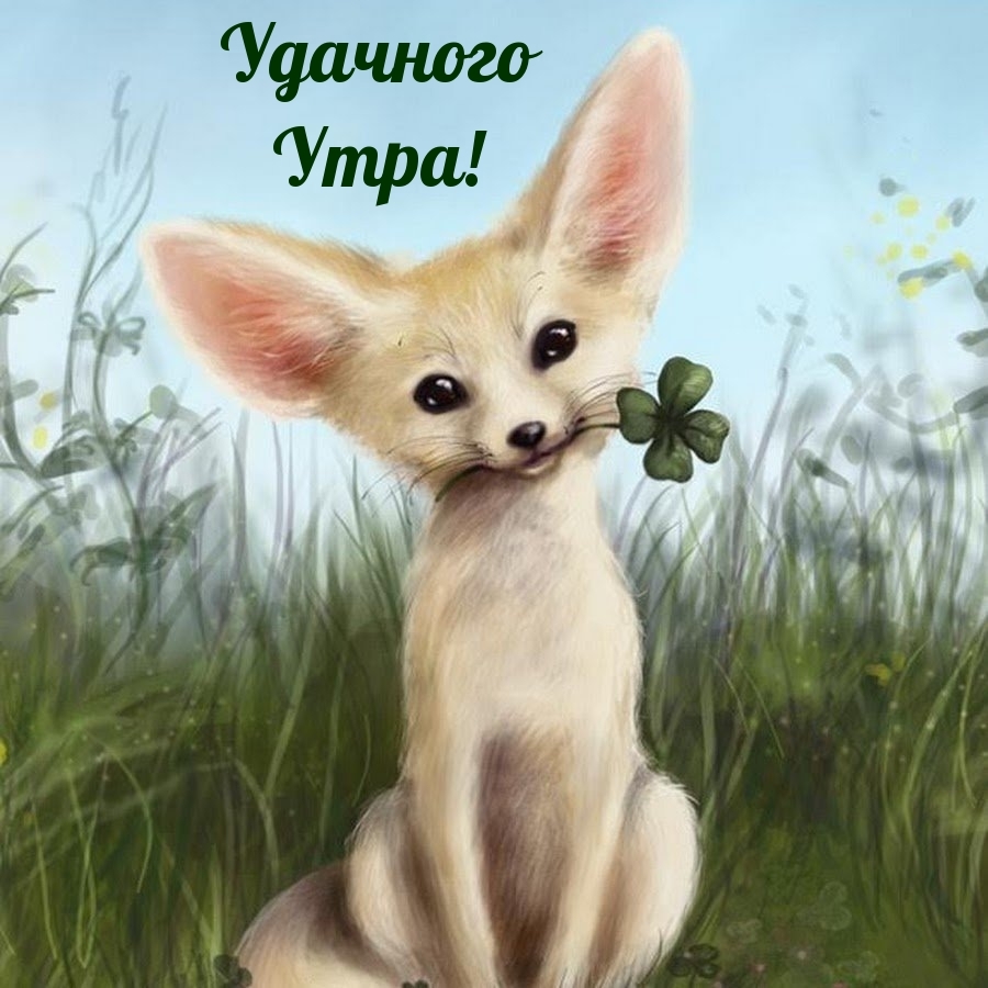 Удачного Утра!