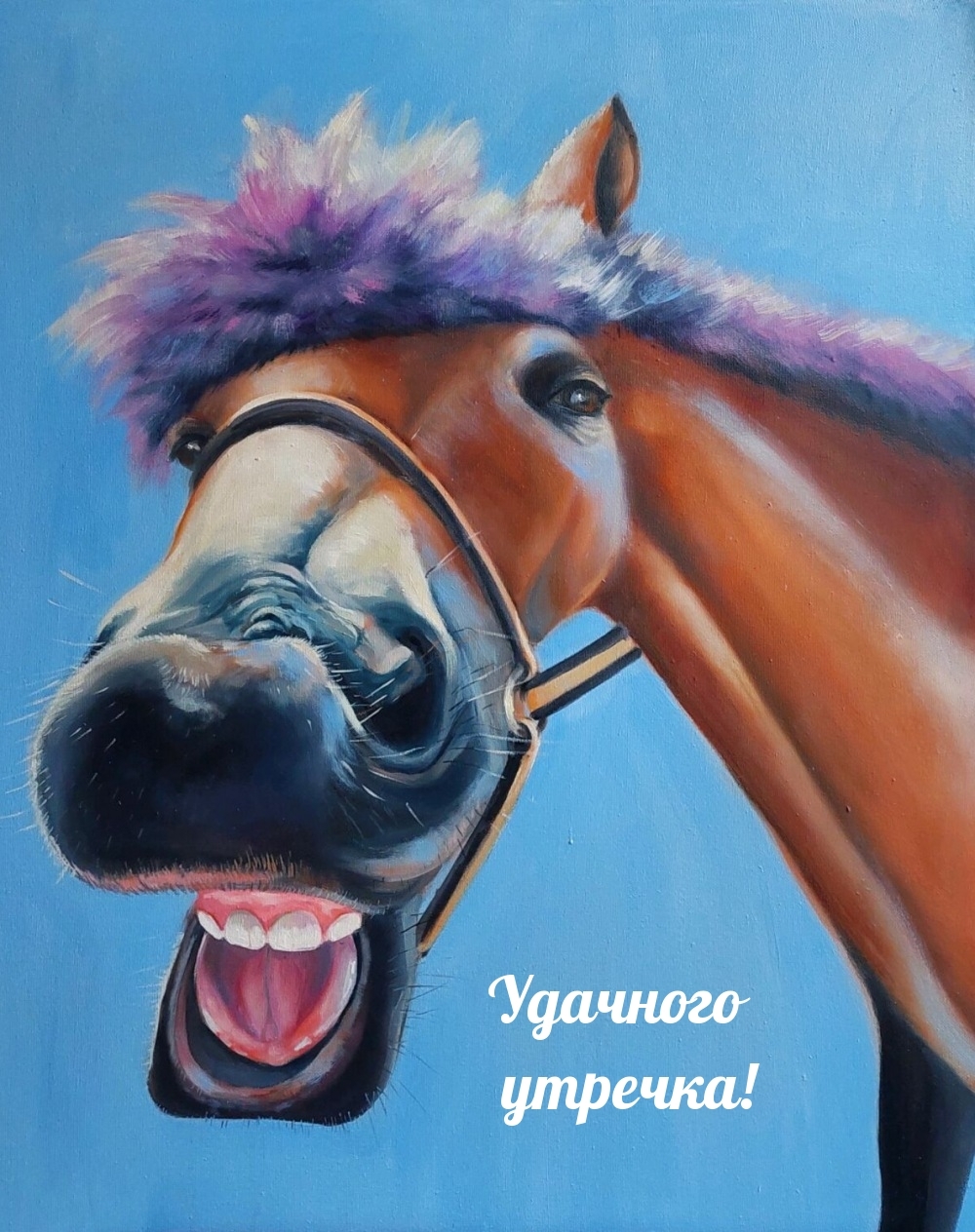 Удачного утречка!