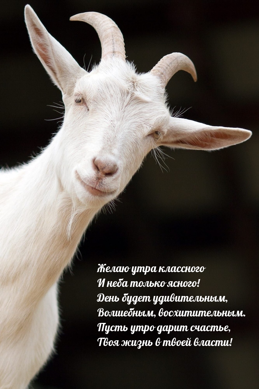 Утра классного и неба только ясного! День будет удивительным