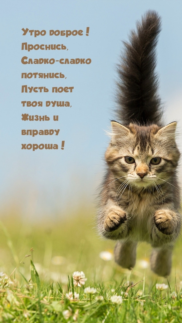 Утро доброе! Проснись, сладко-сладко потянись