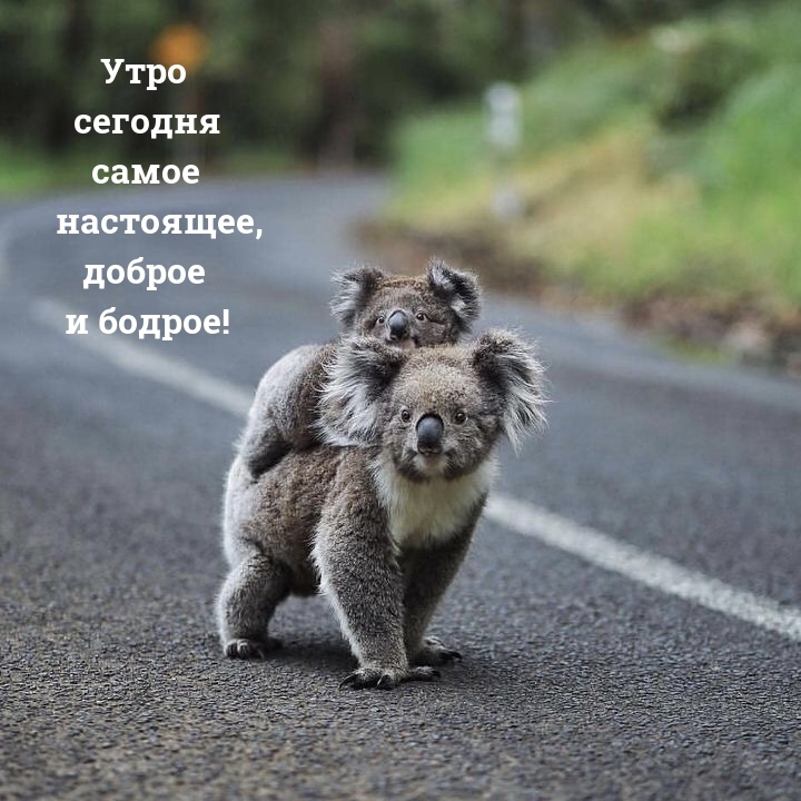 Утро сегодня самое настоящее, доброе и бодрое!