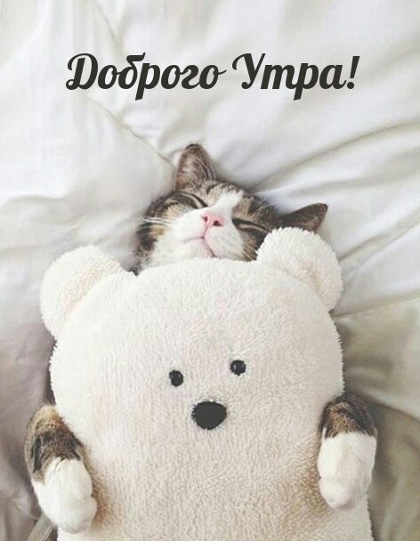 Доброго Утра!