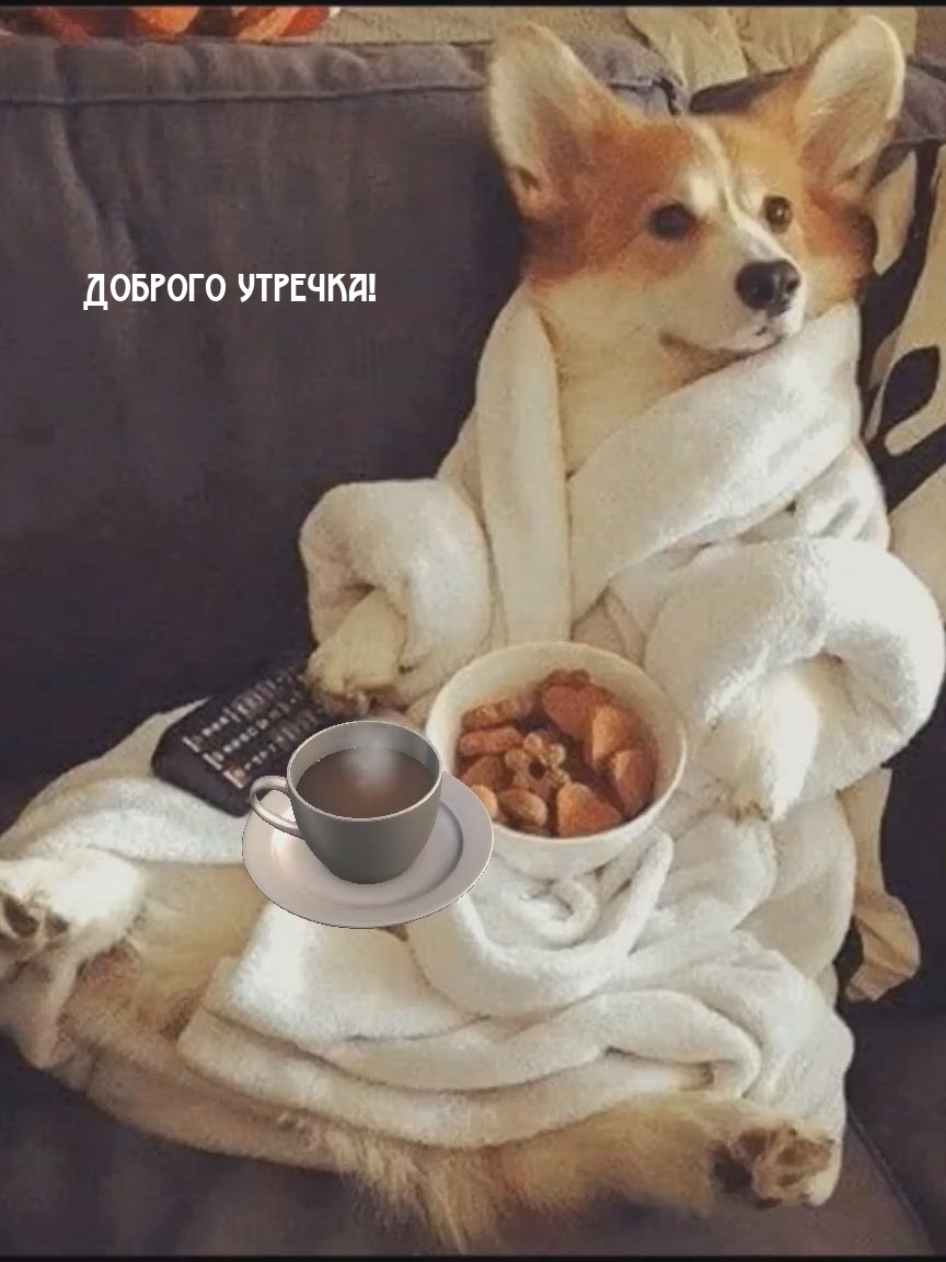 Доброго утречка!