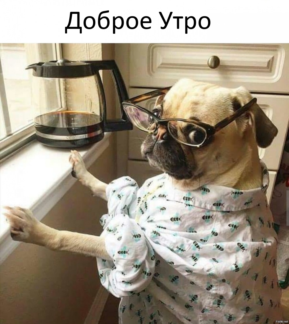 Доброе Утро