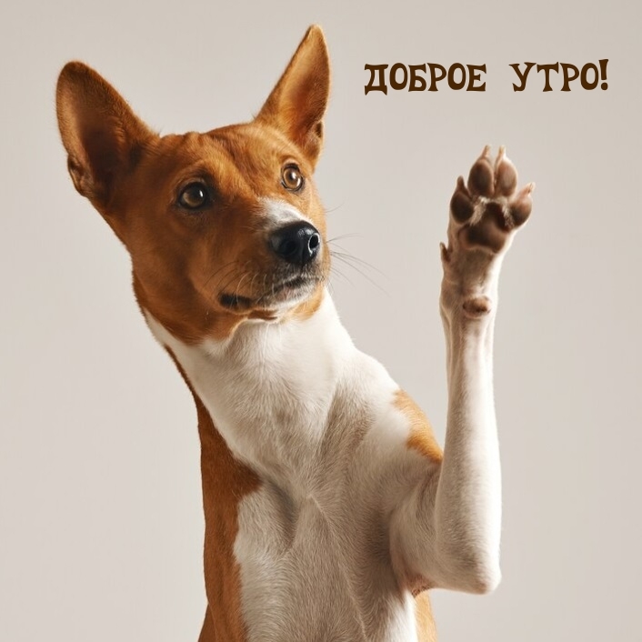 Доброе утро!