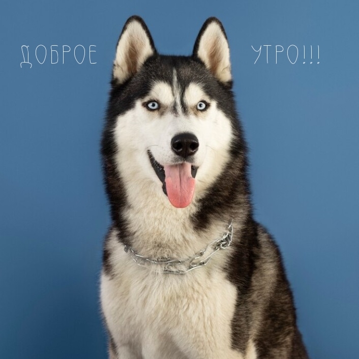 Доброе утро!