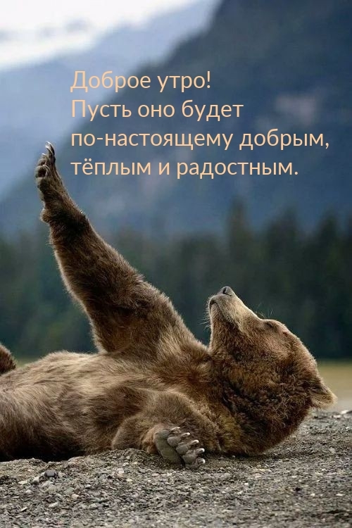 Доброе утро! Пусть оно будет по-настоящему добрым