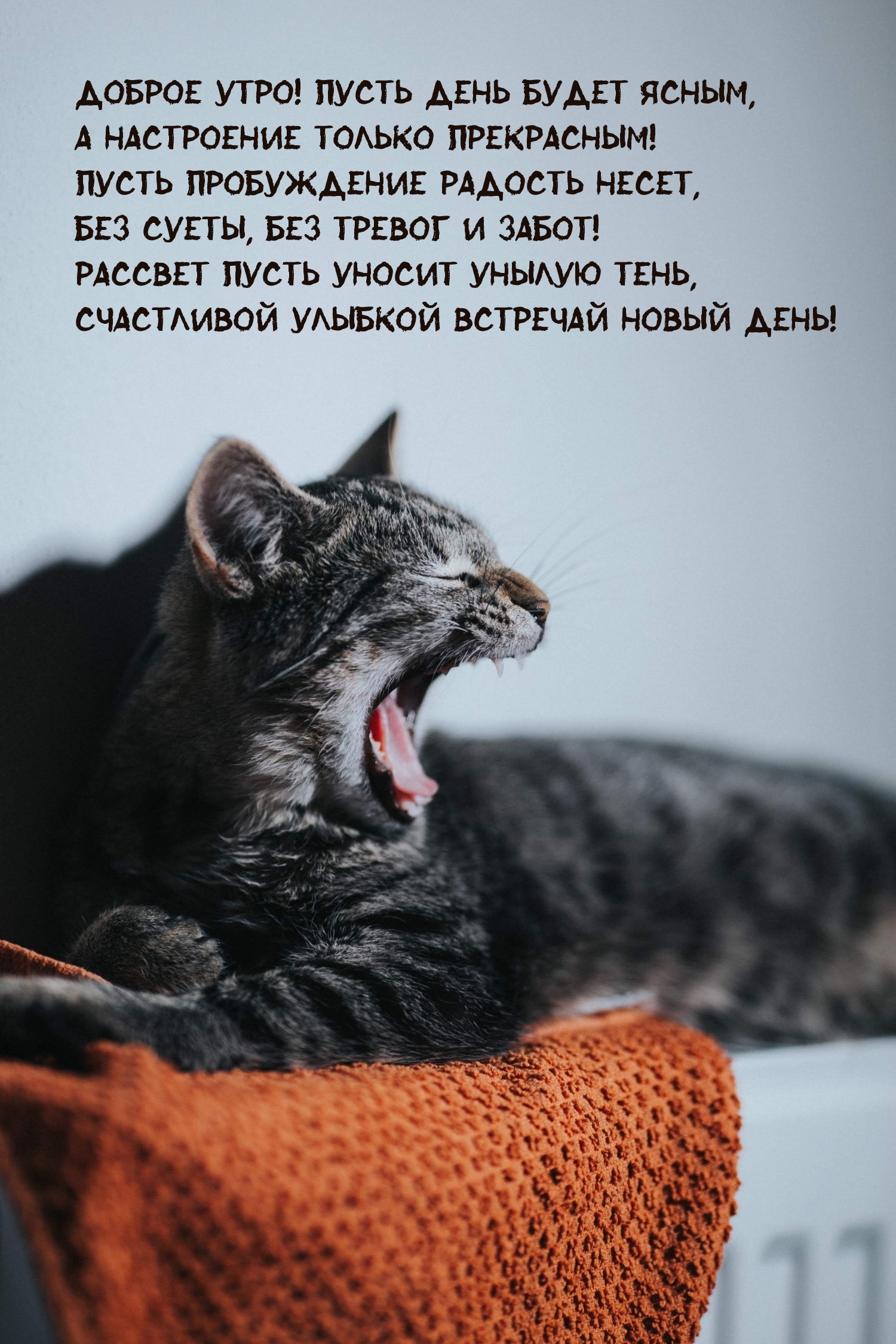 Доброе утро! Пусть день будет ясным