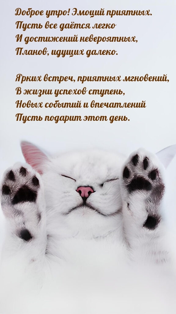 Доброе утро! Эмоций приятных. Ярких встреч, приятных мгновений