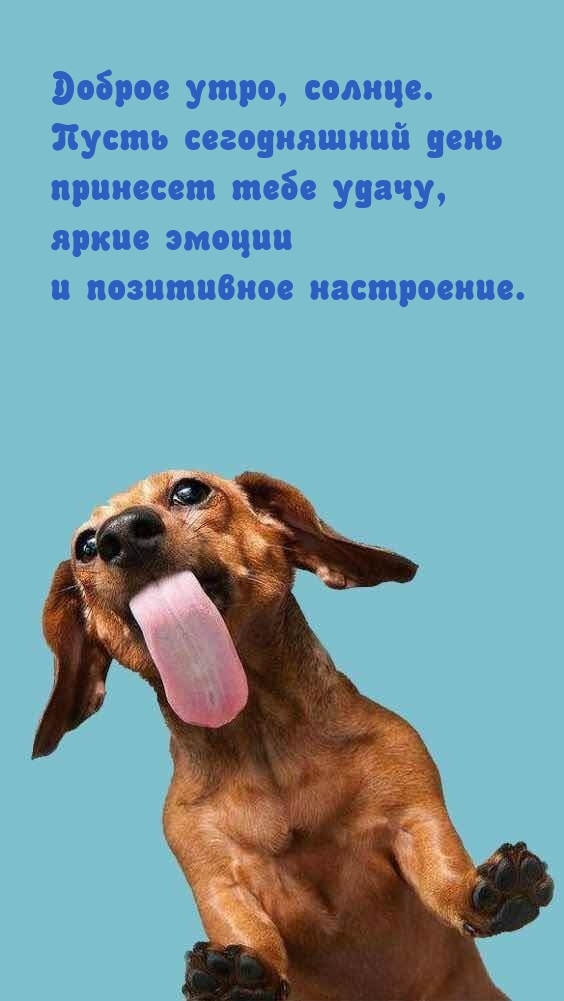 Доброе утро, солнце. Пусть сегодняшний день принесет тебе удачу