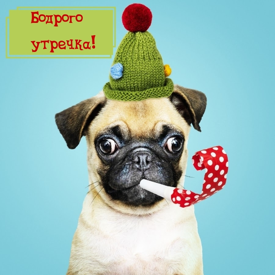 Бодрого утречка!