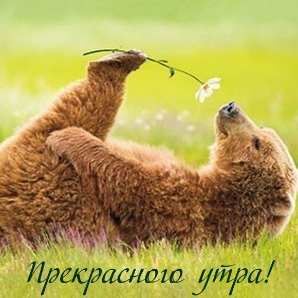 Прекрасного утра!