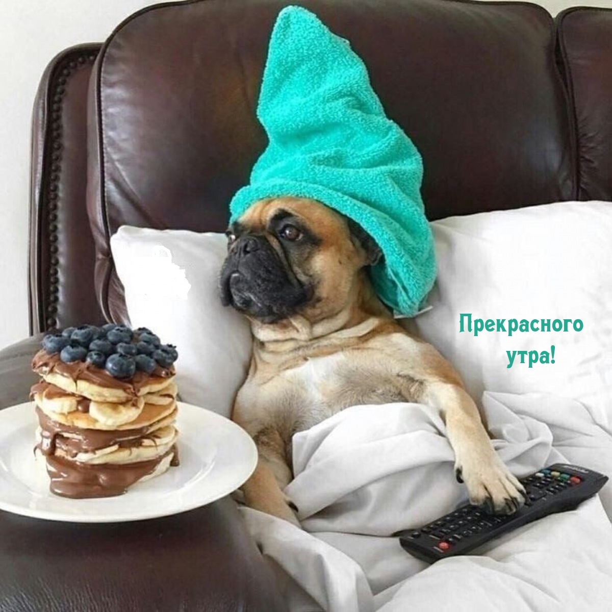 Прекрасного утра!