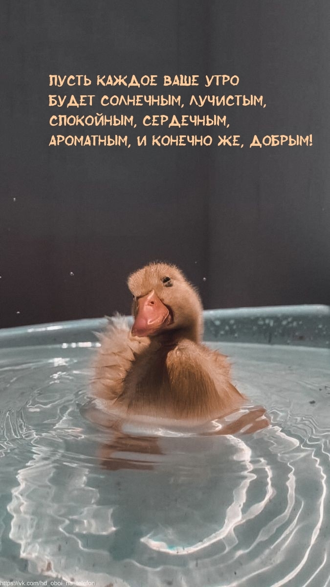 Пусть каждое Ваше утро будет солнечным, лучистым
