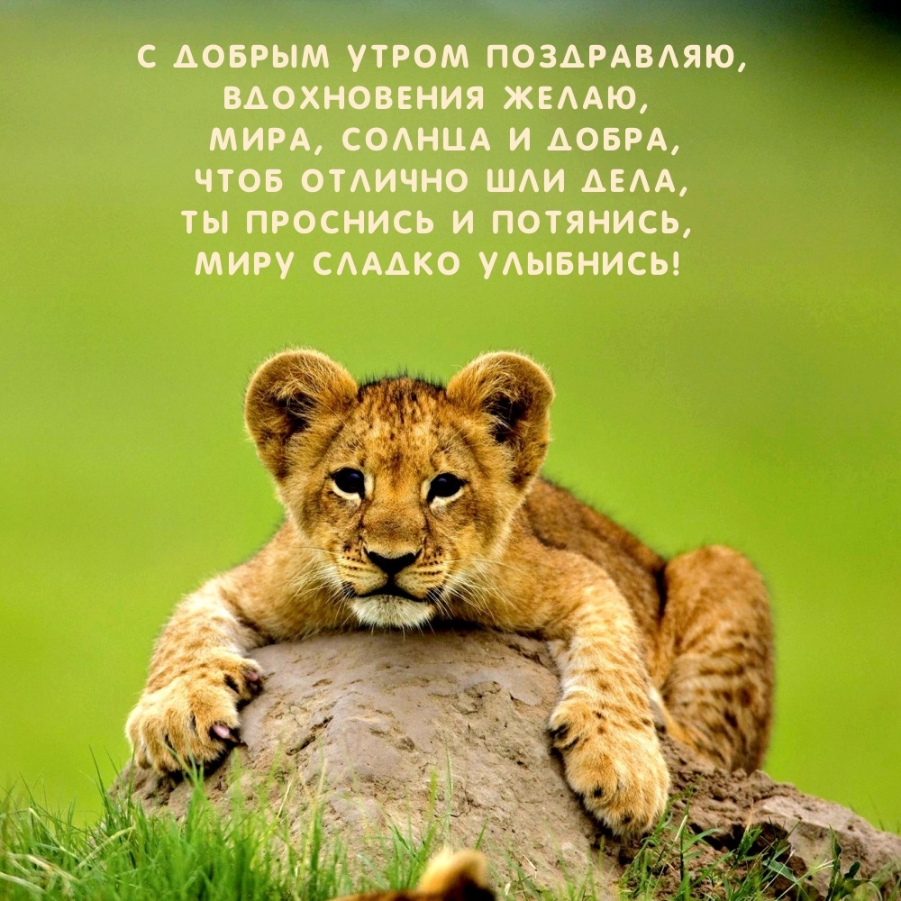 С добрым утром поздравляю, вдохновения желаю