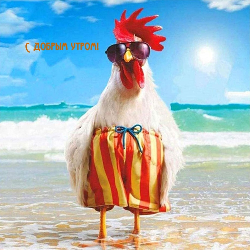 С добрым утром!