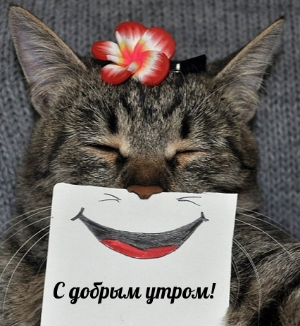 С добрым утром!
