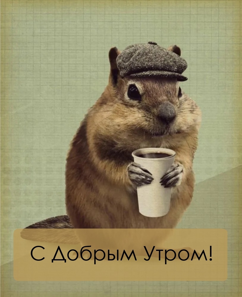 С Добрым Утром!