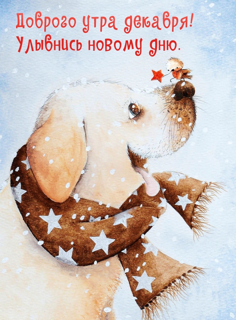 Доброго утра декабря! Улыбнись новому дню.