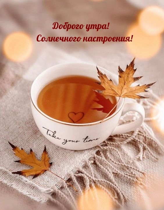 Доброго утра! Солнечного настроения!