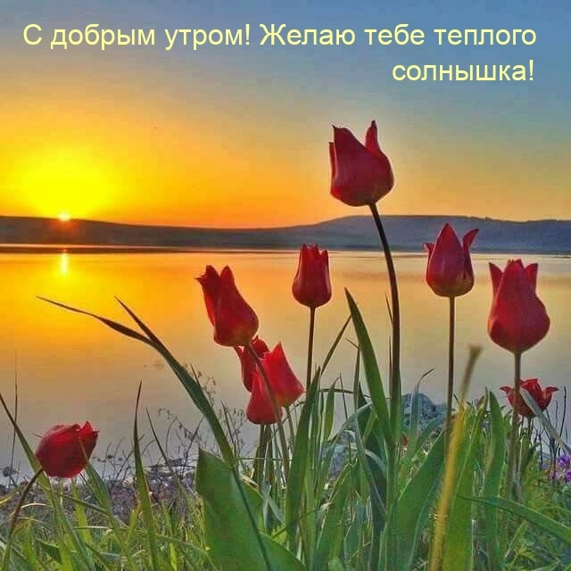 С добрым утром! Желаю тебе теплого солнышка!