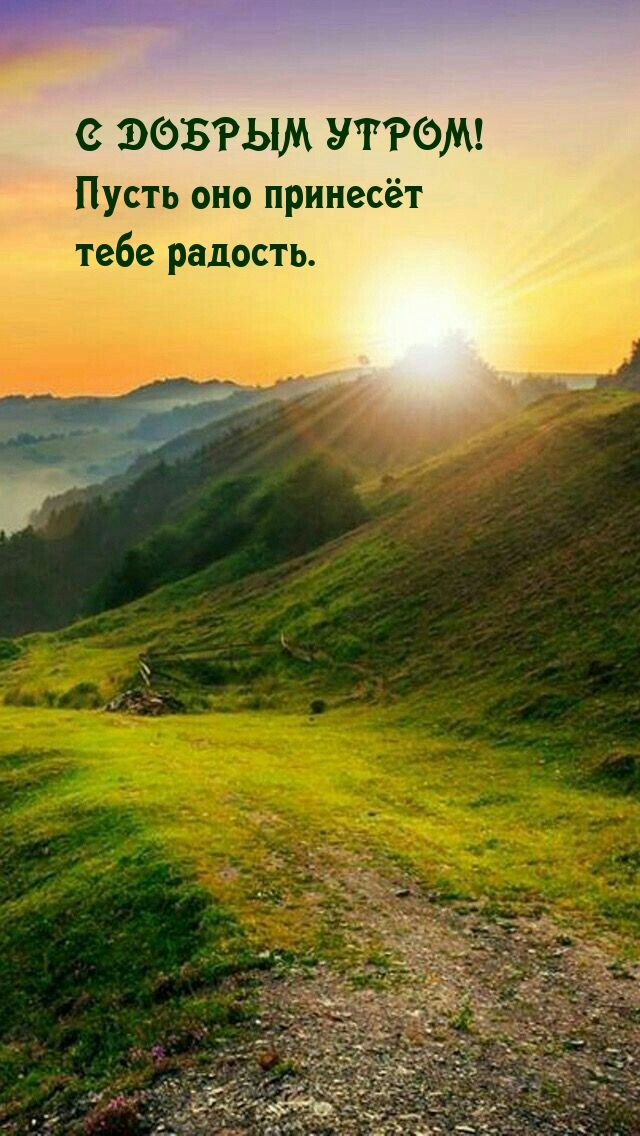С добрым утром! Пусть оно принесет тебе радость.