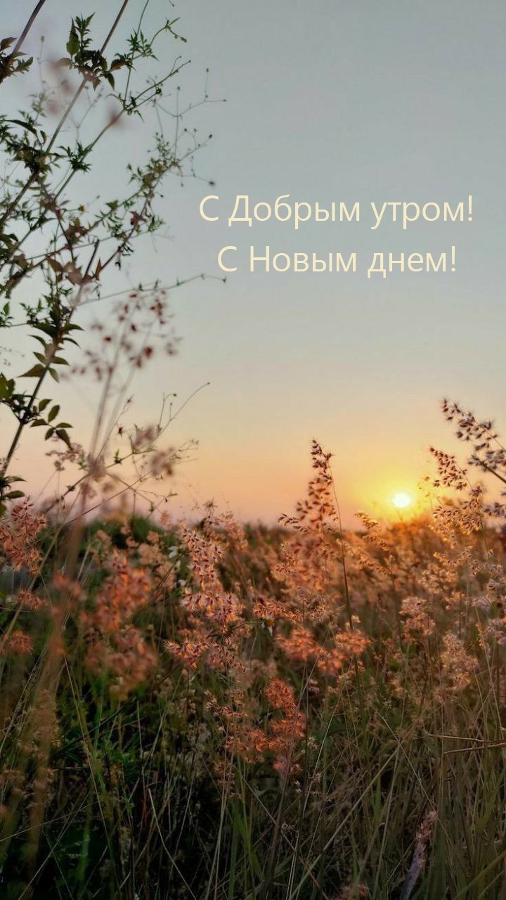 С Добрым утром! С Новым днем!