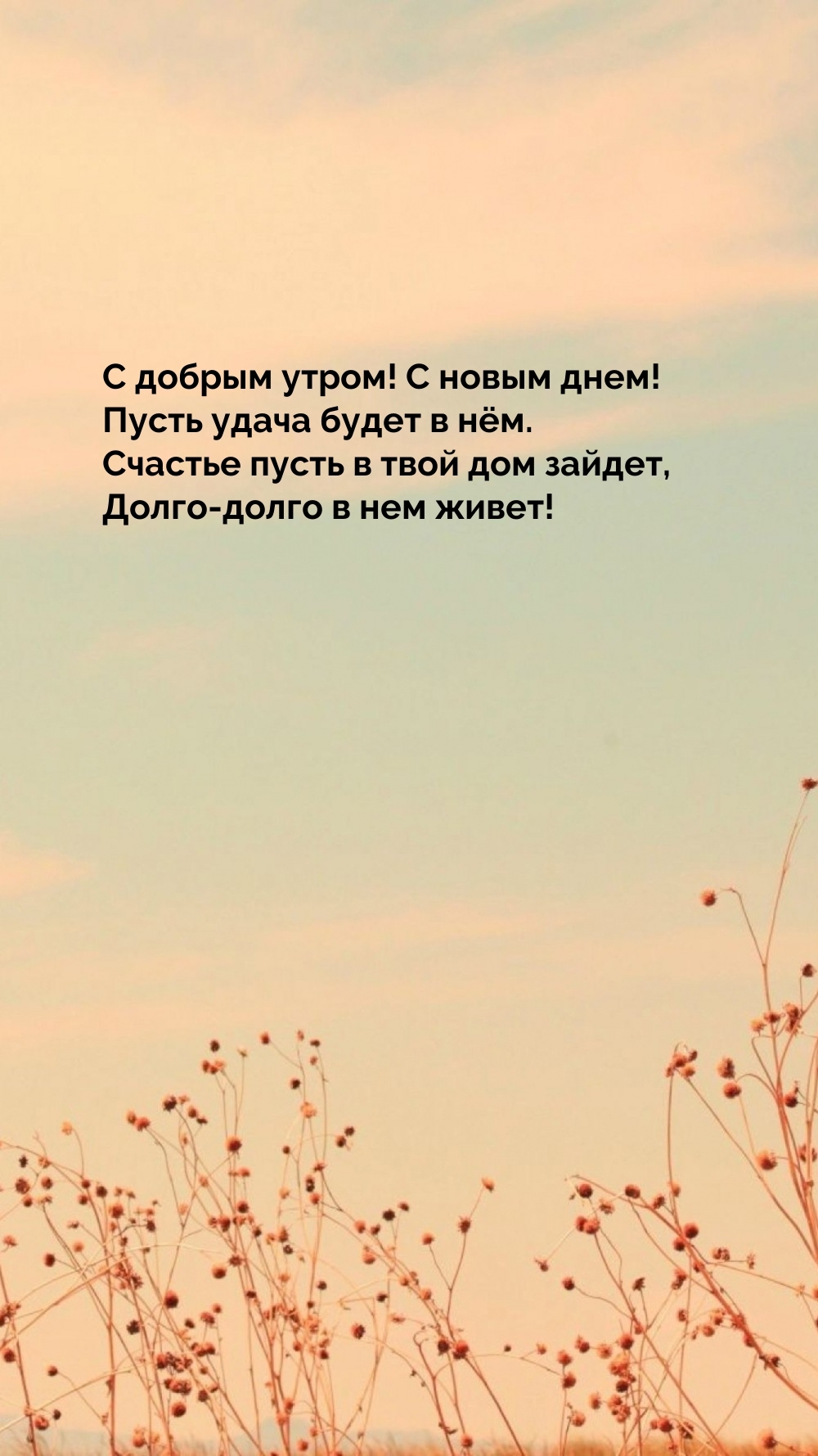С добрым утром! С новым днем! Пусть удача будет в нем.