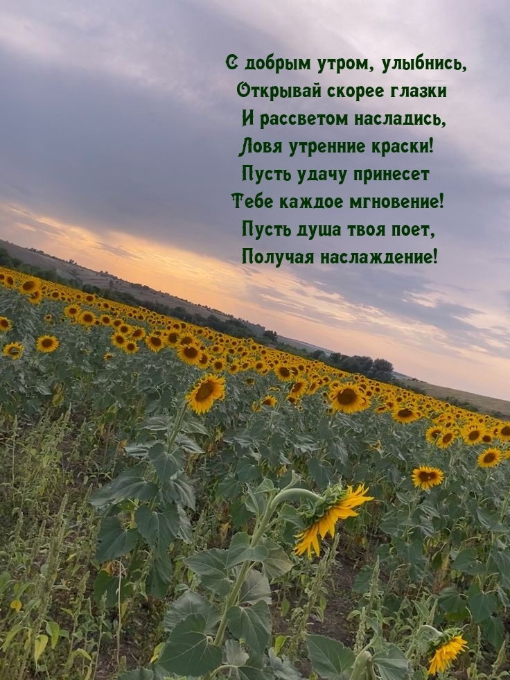 С добрым утром, улыбнись