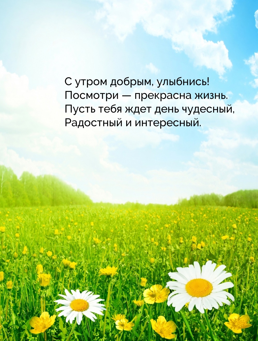 С утром добрым, улыбнись! Посмотри — прекрасна жизнь.