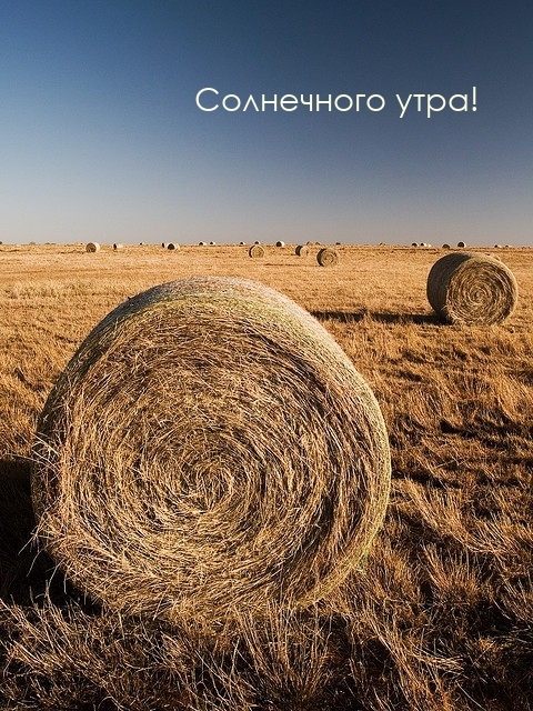 Солнечного утра!
