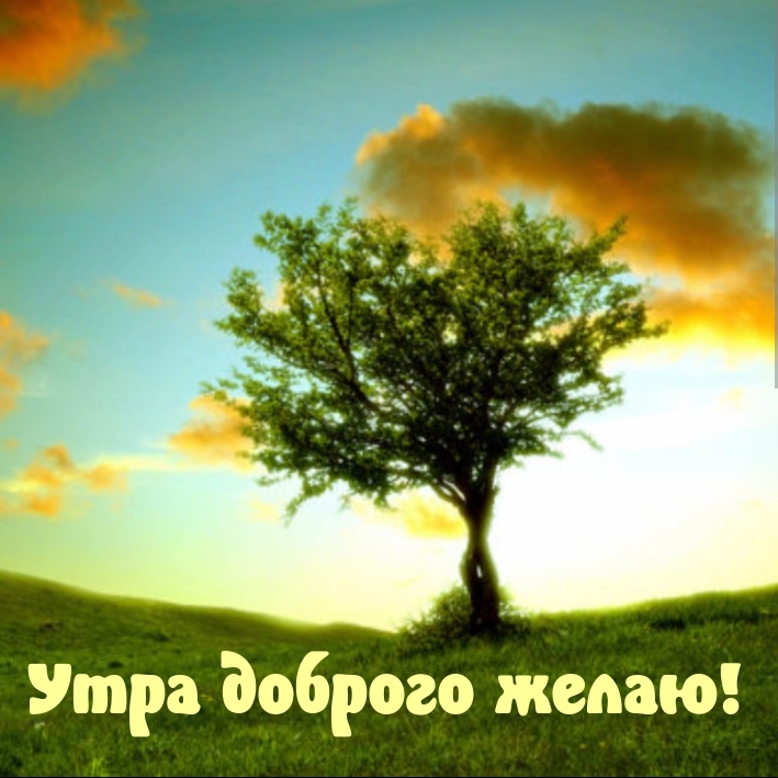 Утра доброго желаю!