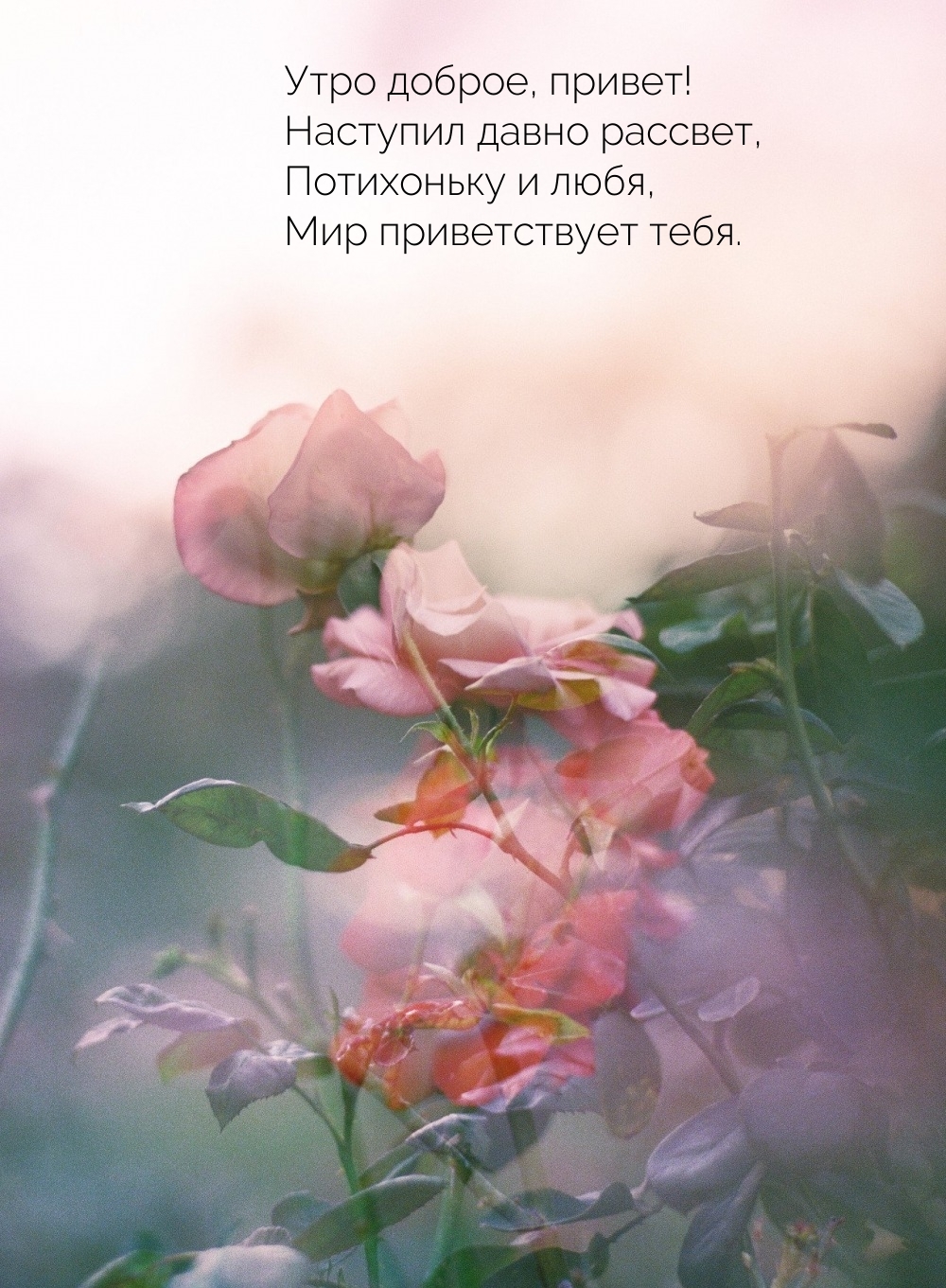 Утро доброе, привет! Наступил давно рассвет