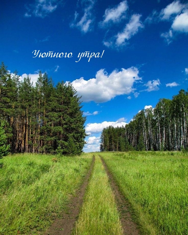 Уютного утра!