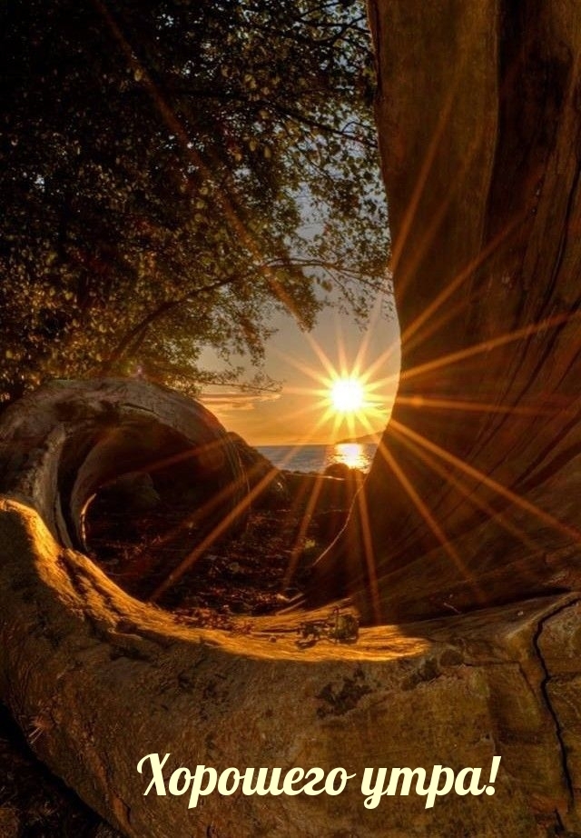 Хорошего утра!