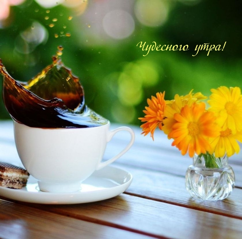 Чудесного утра!