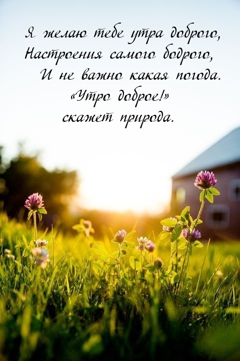 Я желаю тебе утра доброго, настроения самого бодрого