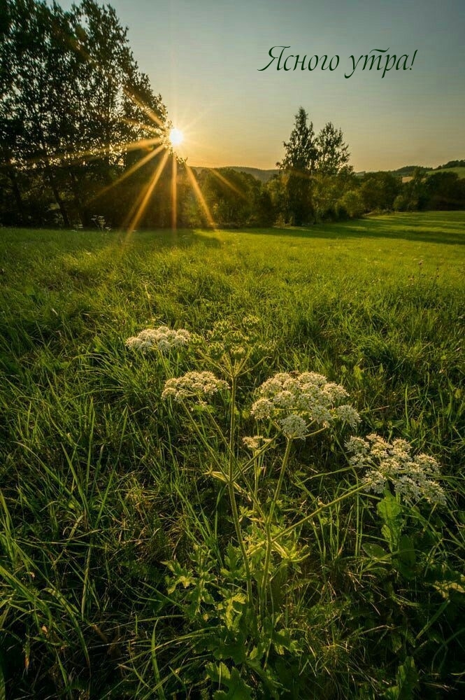 Ясного утра!