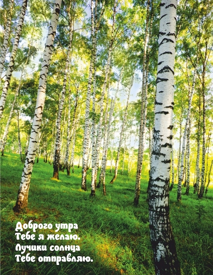 Доброго утра тебе я желаю. Лучики солнца тебе отправляю.