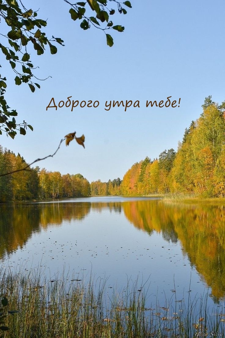 Доброго утра тебе!
