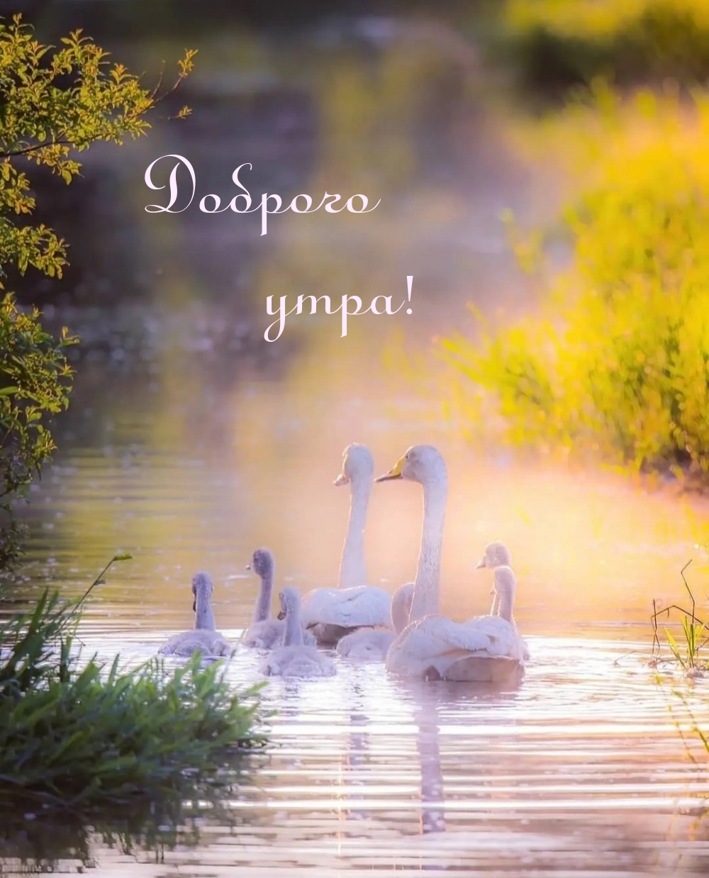 Доброго утра!